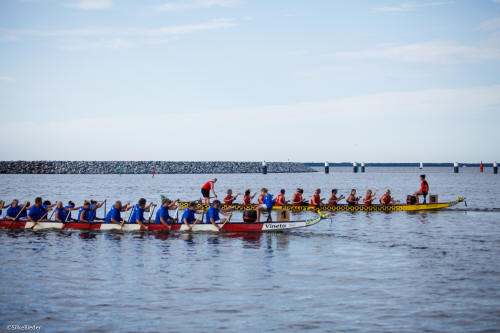 20130803-_MG_6466_small